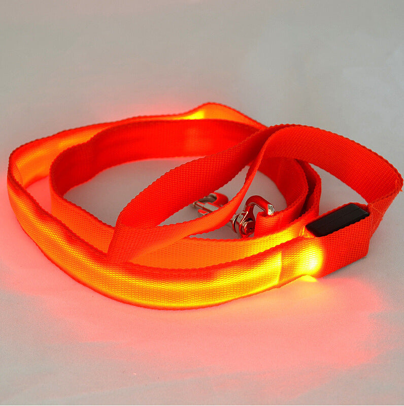 Glow Paw Leash