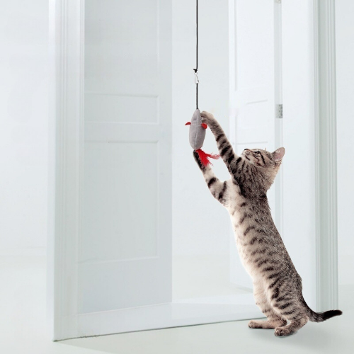 Squeaky Swing Mouse Cat Toy