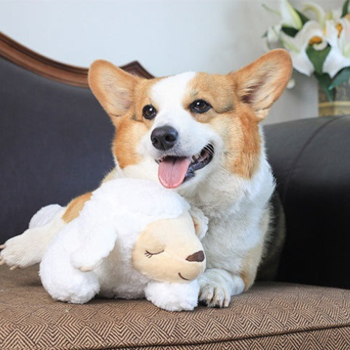 CozySheep Heartbeat Buddy