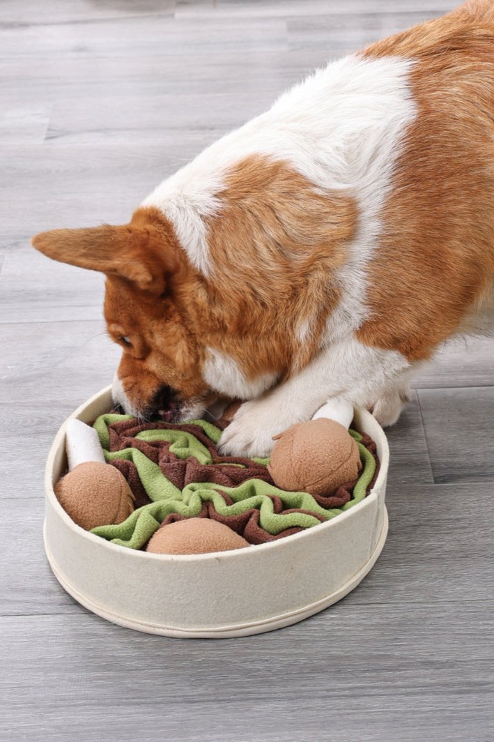 Chicken Leg Bucket Snuffle Bowl