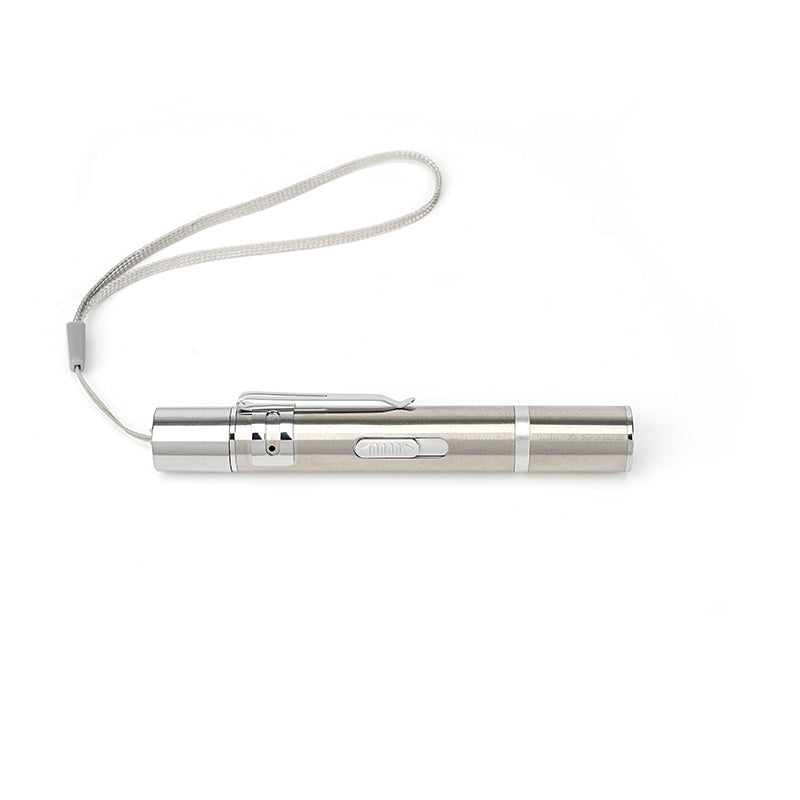 WhiskerChase Interactive Laser Pointer