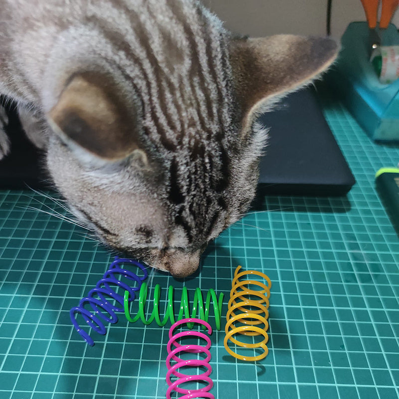 Spring Fling Wiggle Toy