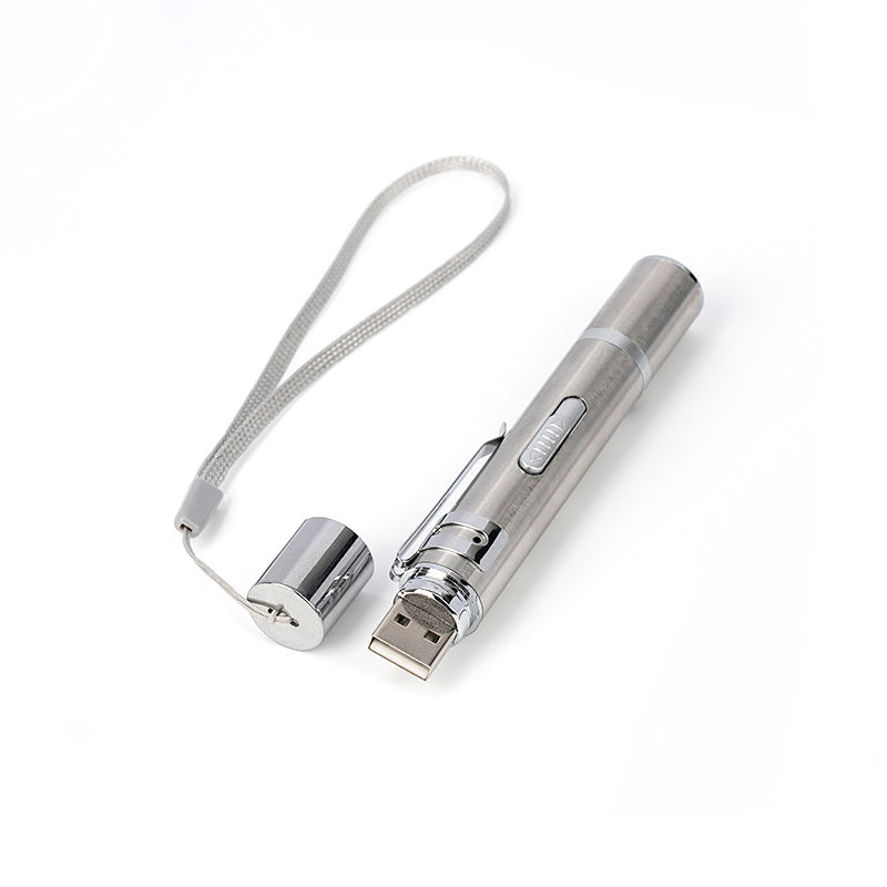 WhiskerChase Interactive Laser Pointer