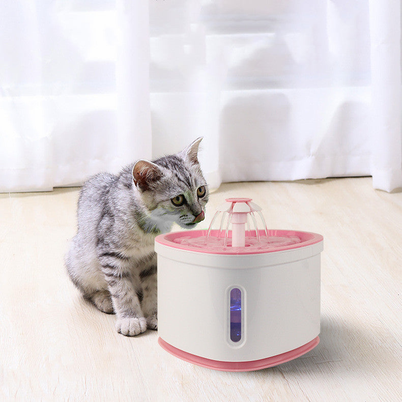 Kitty Quinch Fountain
