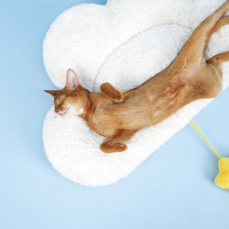 Cloud Mat, Pet Sleeping Mat, Cat Mat