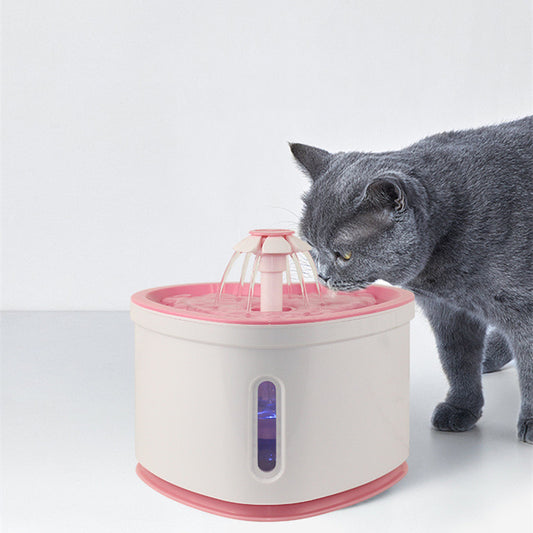 Kitty Quinch Fountain