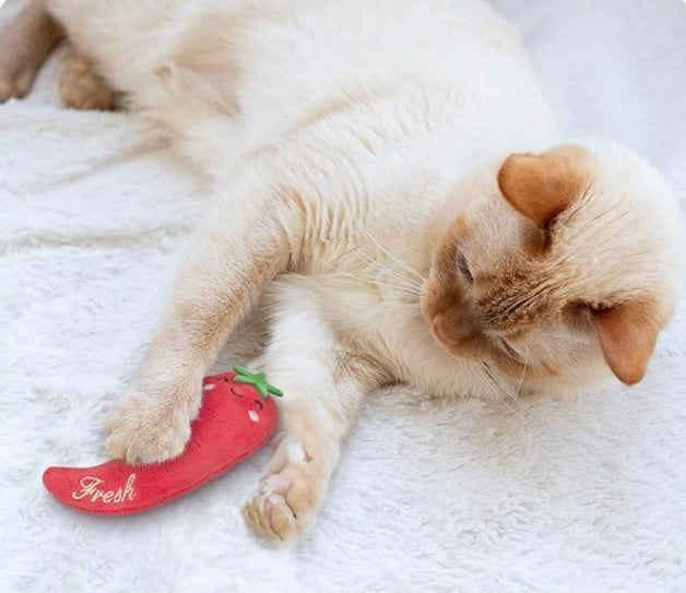 Veggie Plushy Bite Toy