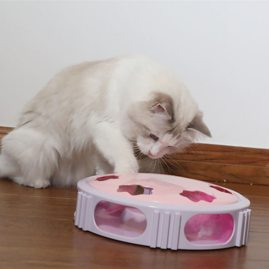 Feather flashing puzzle cat toy