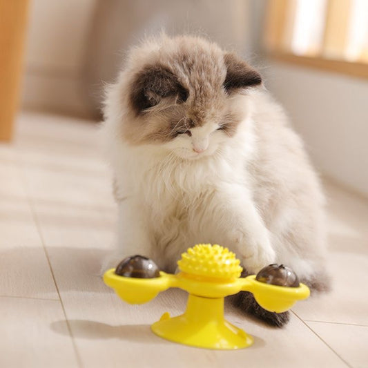 Whisker Windmill