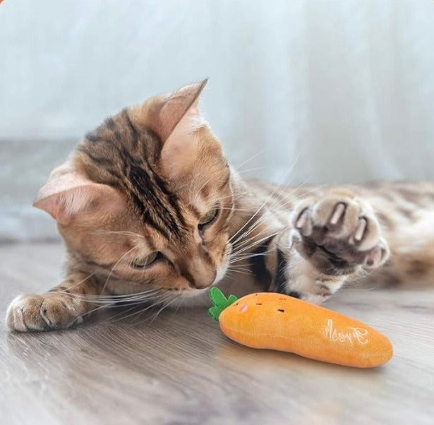 Veggie Plushy Bite Toy