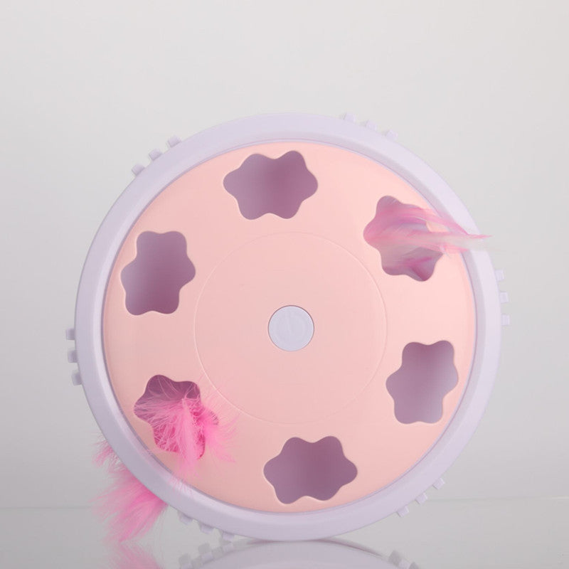 Feather flashing puzzle cat toy