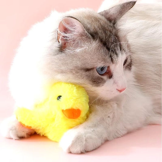 Sunny Quacker