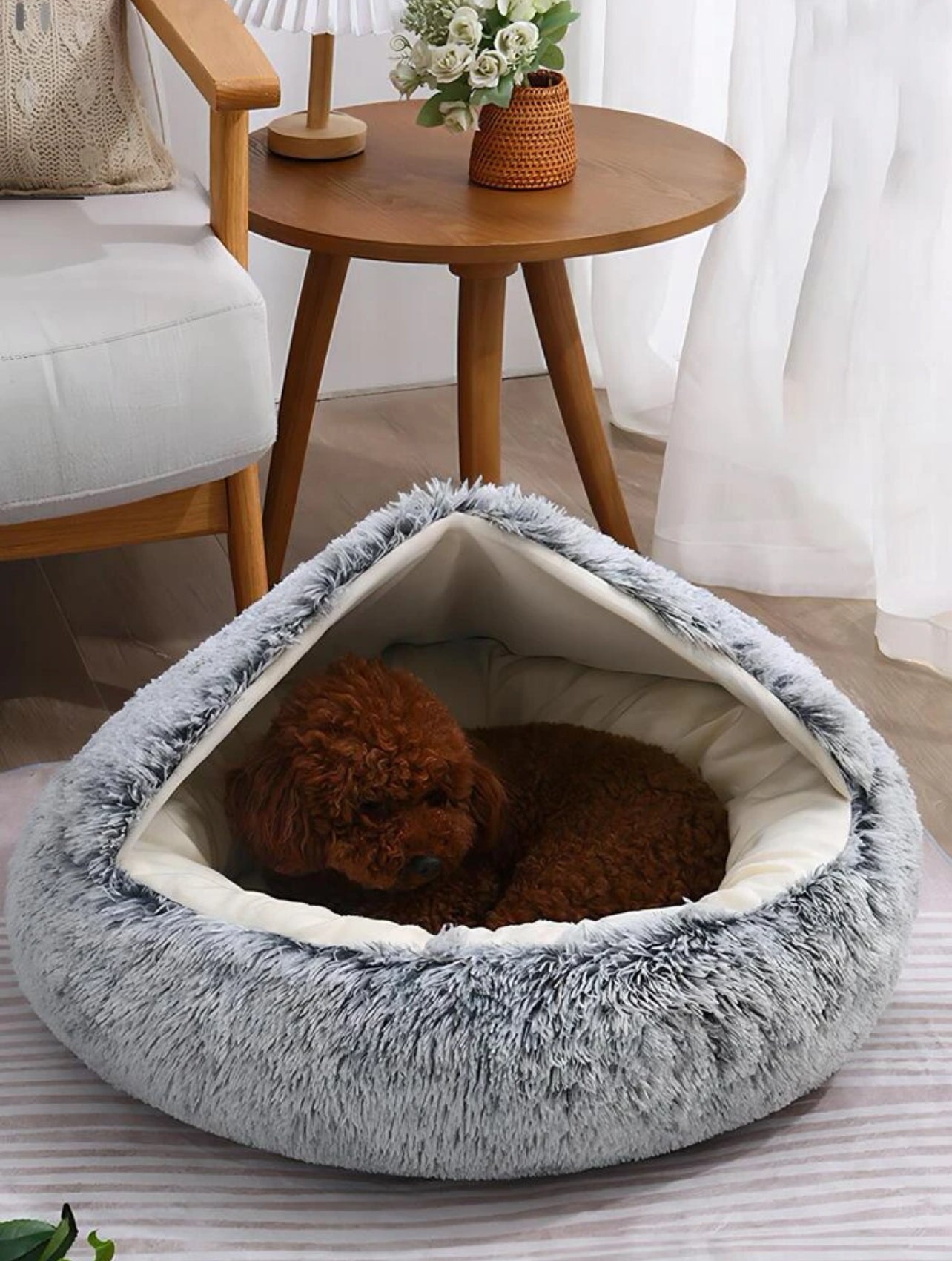 Safe Haven Dog Bed.