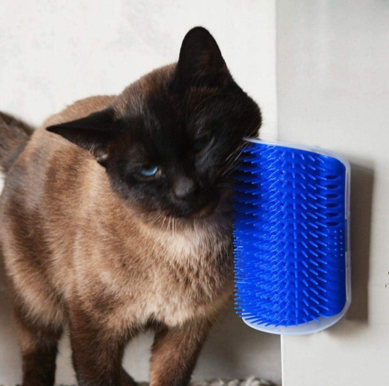 Pawless Meow Brush