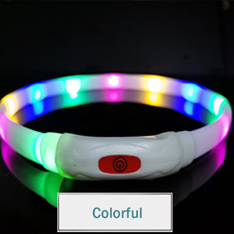 Camp Glow Canine Collar