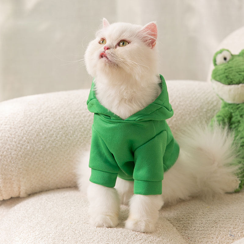 Dino Kitty Hoodie