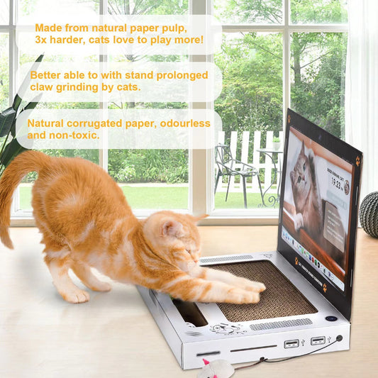 TechPaws Scratch Station